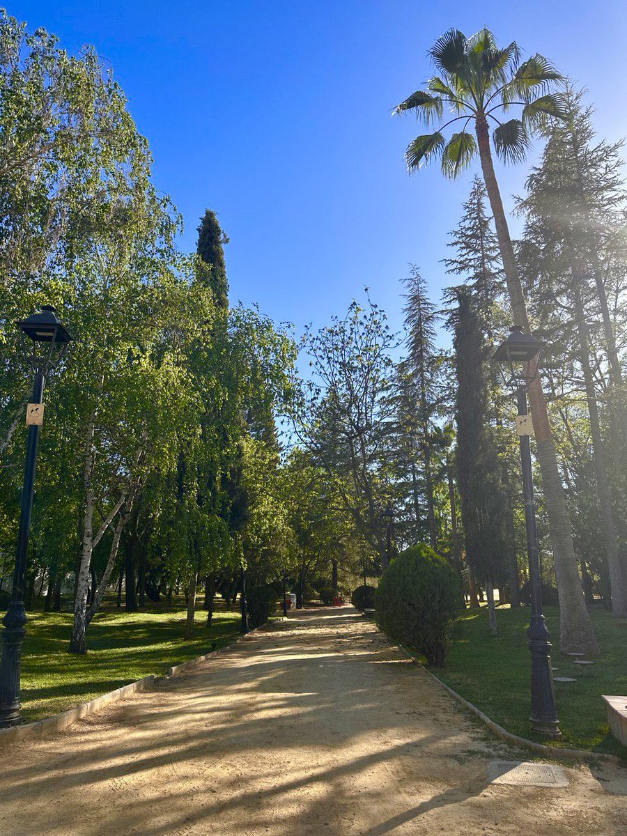 Aurora Suárez tweet media