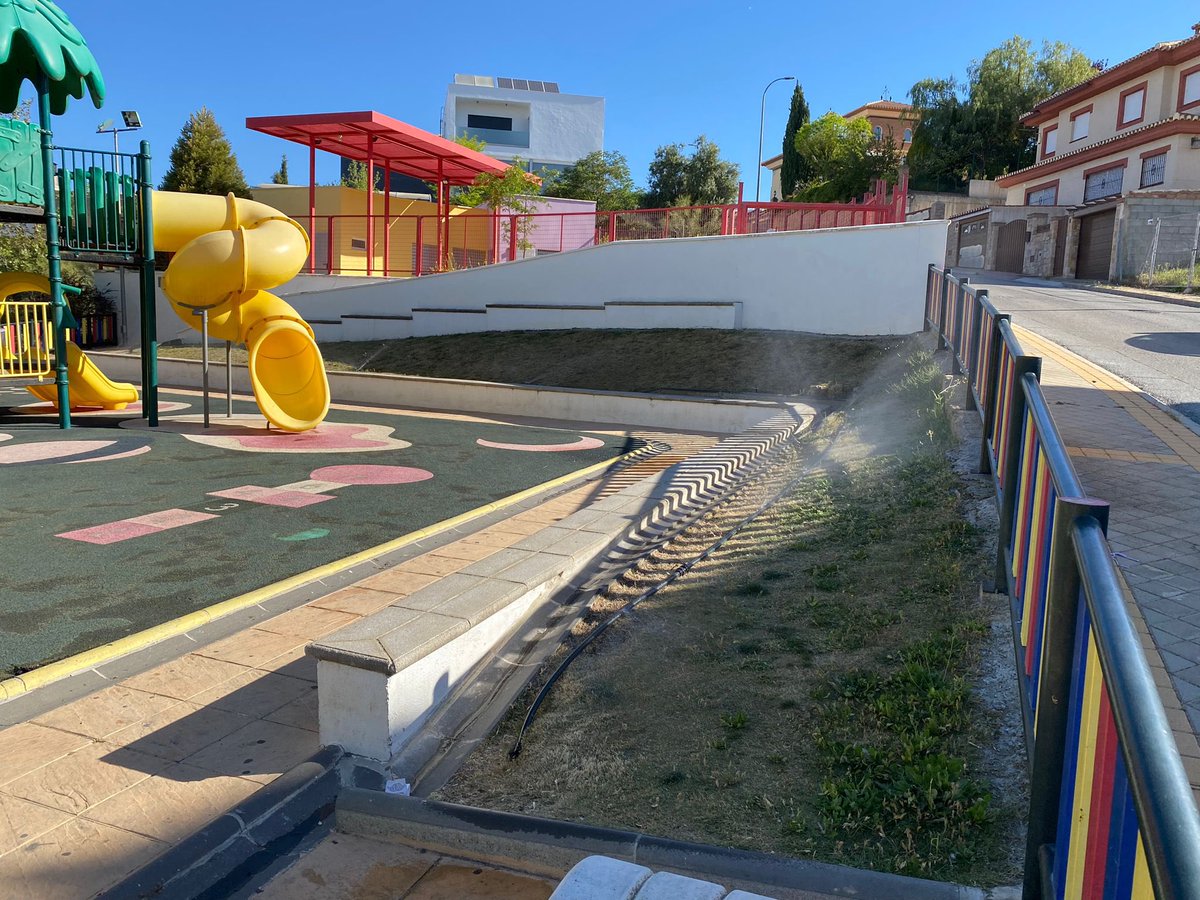 Aurora Suárez tweet media