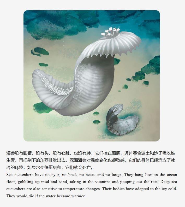 LydiaLukidis's tweet photo. WOW!! I just gave a webinar about #STEM and my new book #DeepDeepDown to educators and students in CHINA!! It did require me to wake up at 3 am but what an experience! So cool to see the words of my book in Chinese :)
#writingcommunity #kidlit #amreasing #amwriting @CapstonePub https://t.co/RRnjh4zY6H
