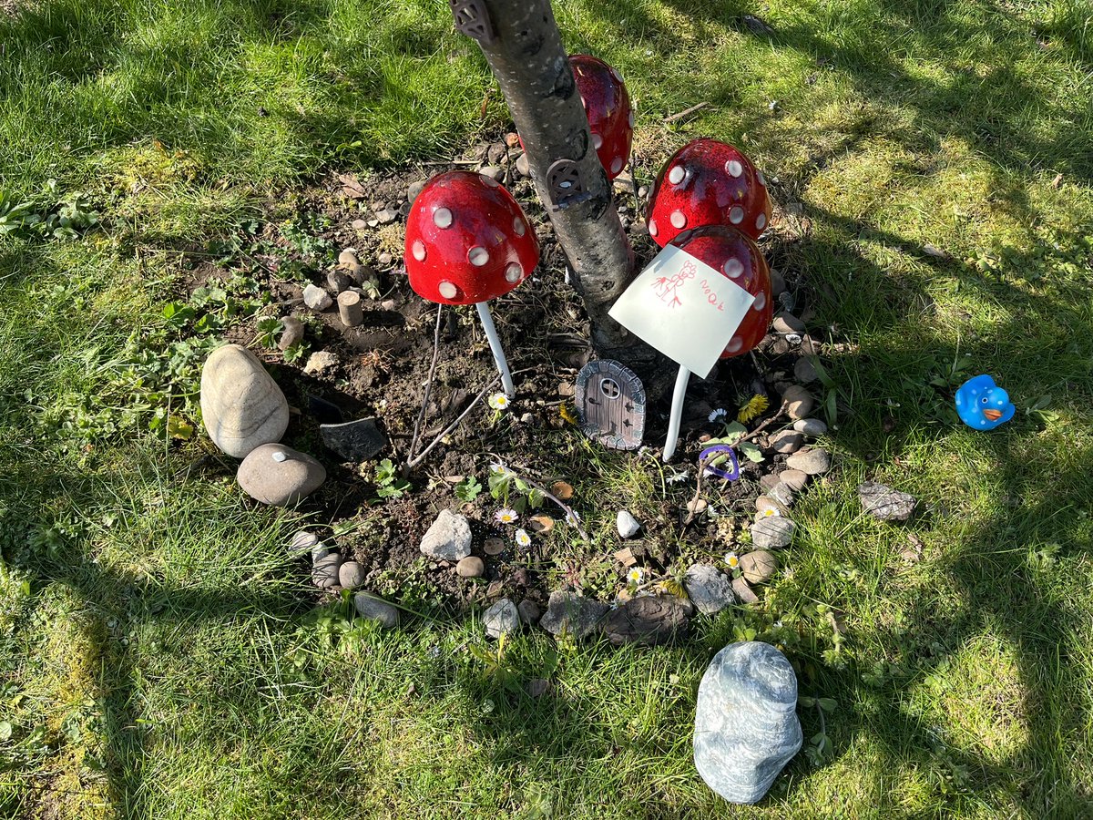 Mrs Callaghan tweet media