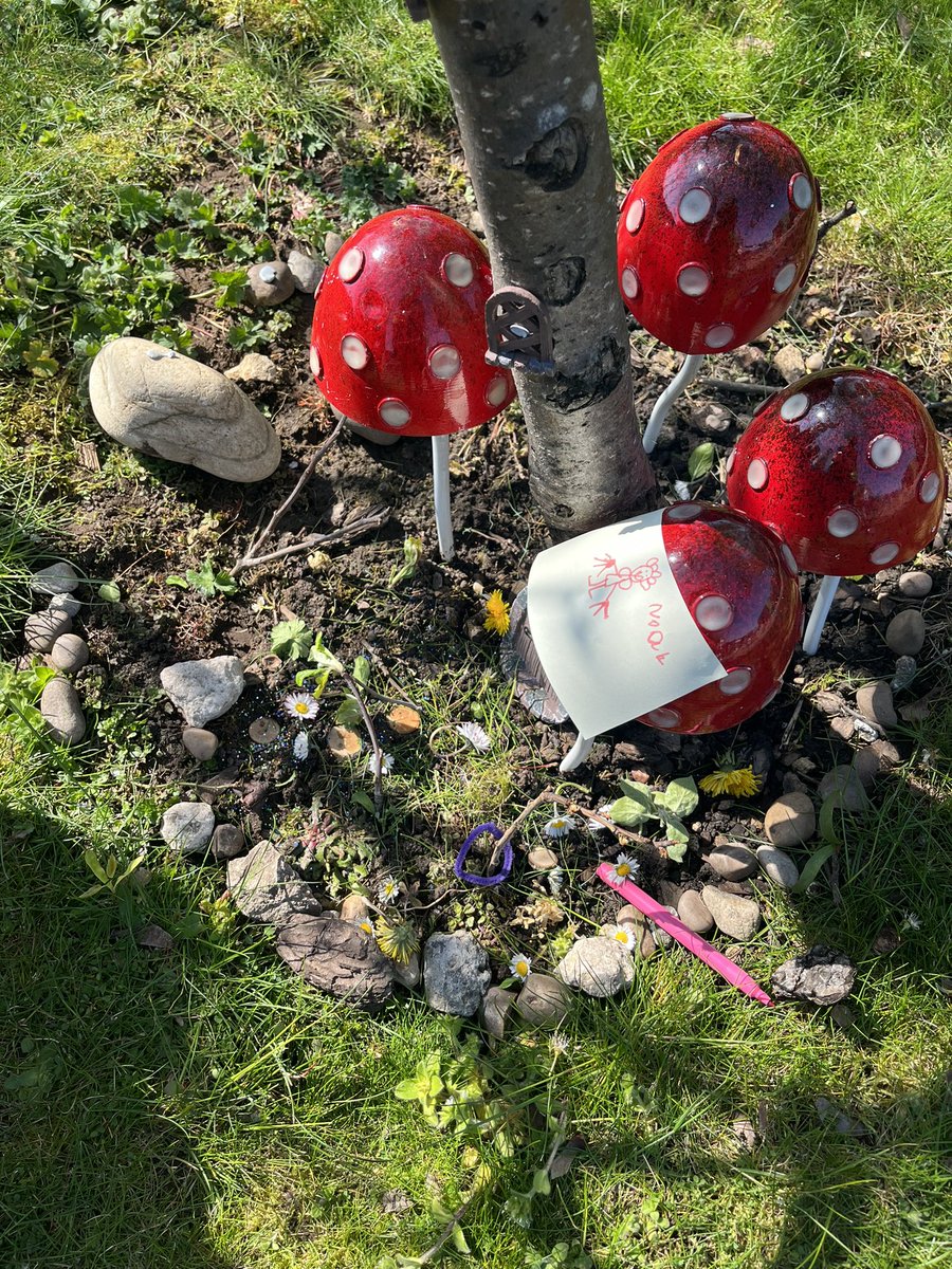 Mrs Callaghan tweet media