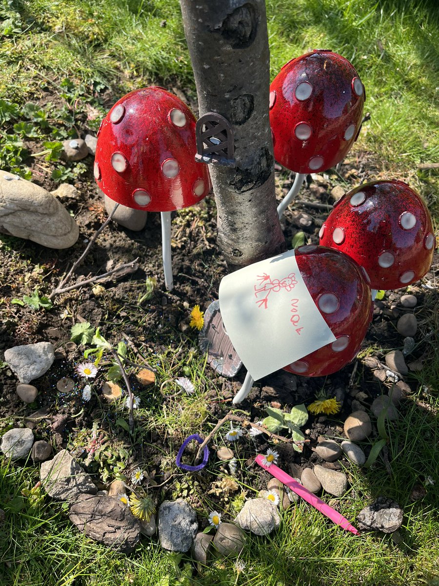 Mrs Callaghan tweet media