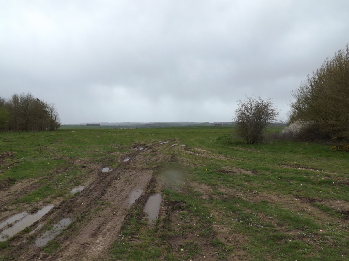 This shows the target landing location used for the training of the Horsa pilots of the Coup de Main party to capture Pegasus Bridge &amp; Horsa Bridge. This specific glider training was performed under the title 'Deadstick'. The location is Holmes Clump near Netheravon Airfield.
