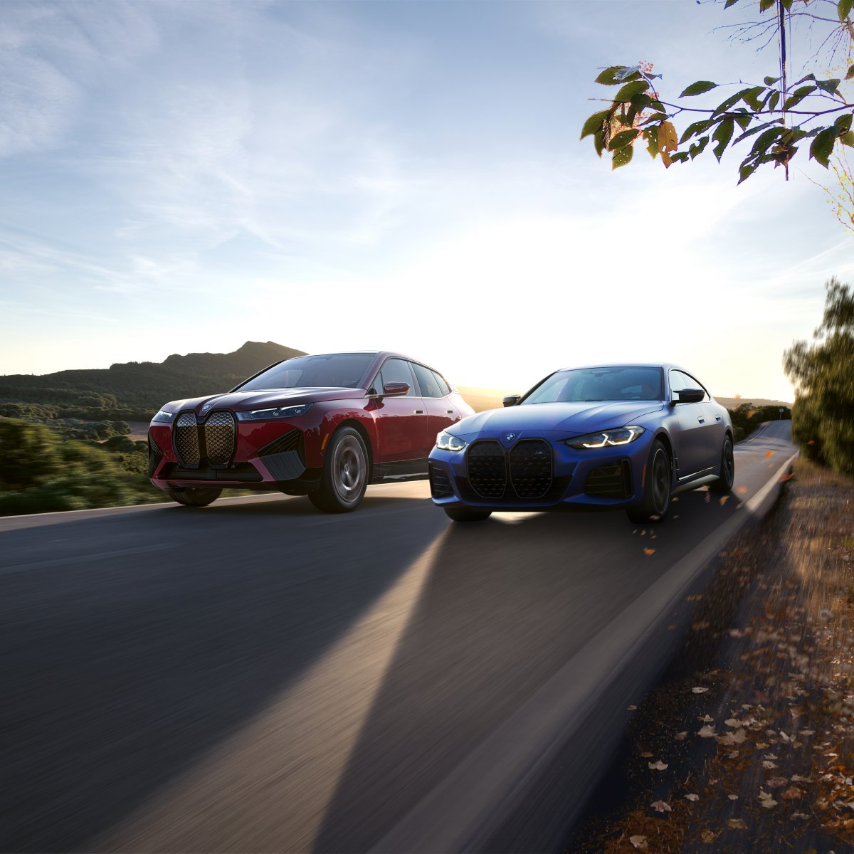 BMW USA on Twitter: "Want to help restore America's forestlands? All ...