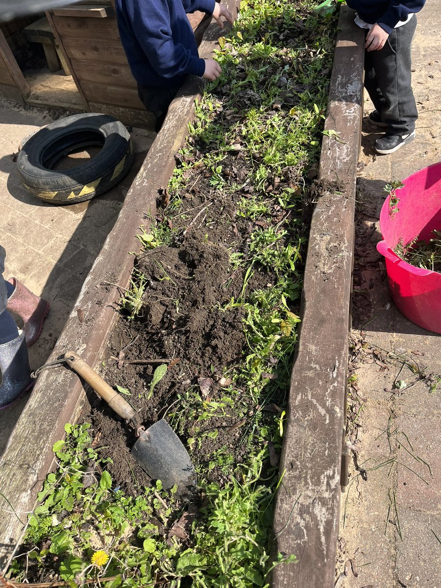 Mrs Callaghan tweet media