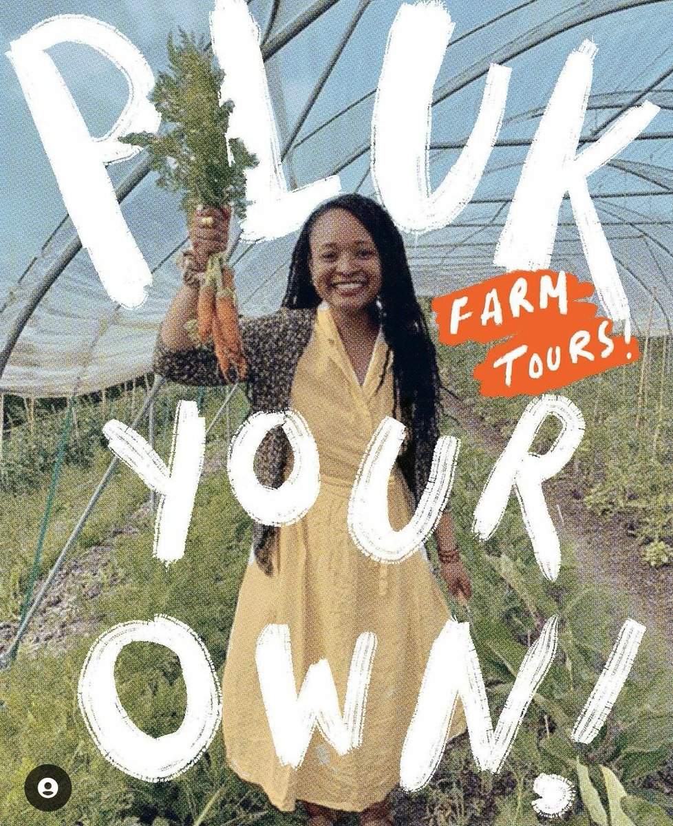 Voedselpark Amsterdam tweet media