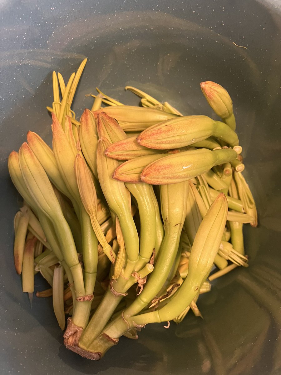JoseCelisMX's tweet photo. En @CdeAbastoCDMX pude conseguir un delicatessen, flor de maguey. La cual anoche pude cocinar, ya les diré como me salió #DaleChamba🌞🤤 @SedecoCDMX @WWF_Mexico @FadlalaAkabani https://t.co/wHxoR2YUnM