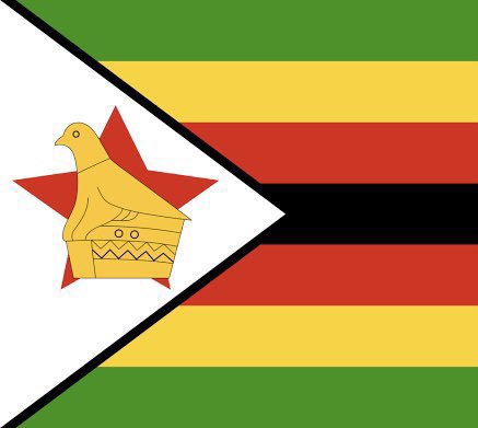 callmepmidzi's tweet photo. #zim43 the flag vs the face https://t.co/JSdT6ivsI6