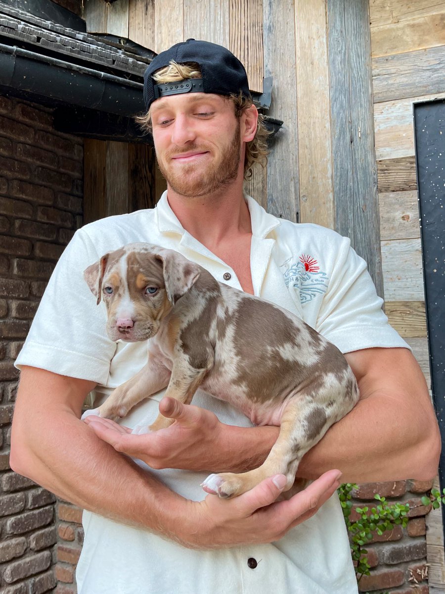 LoganPaul's tweet photo. 100 pounds later https://t.co/daRqqr9BjQ