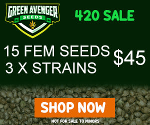 It's 420 sales time again! Some of the best deals of the season on now at #greenavengerseeds!

greenavengerseeds.com/green-avenger-…