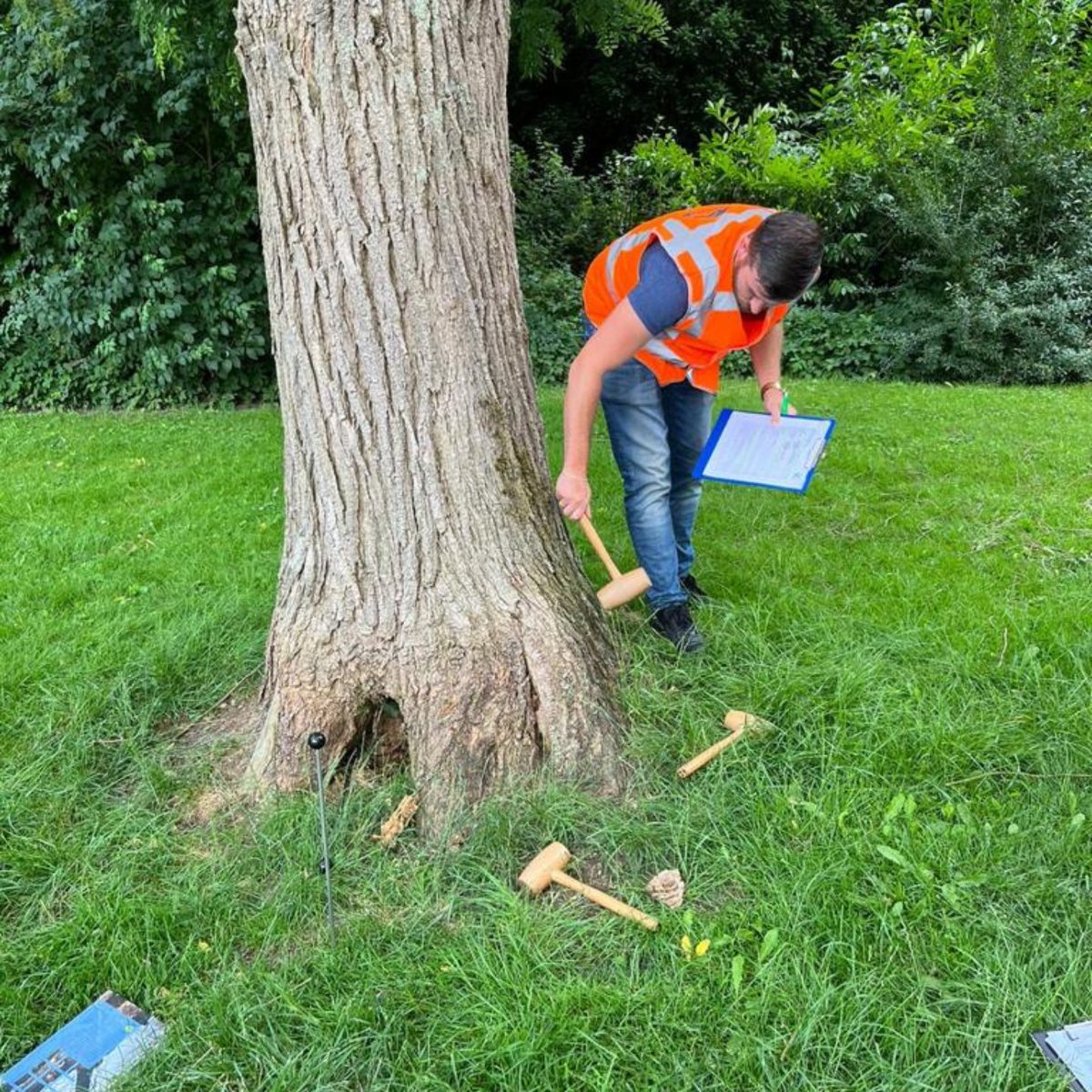 Op 17 mei 2023 mei kan je je certificaat voor boomveiligheids-inspecteur verlengen:
🔍 bit.ly/3FhbCcn _
_
Het is ook mogelijk om op 15, 21 juni &amp; 3 juli de vervolgtraining boomveiligheids-inspecteur te volgen:
🔍 bit.ly/2qDNycQ