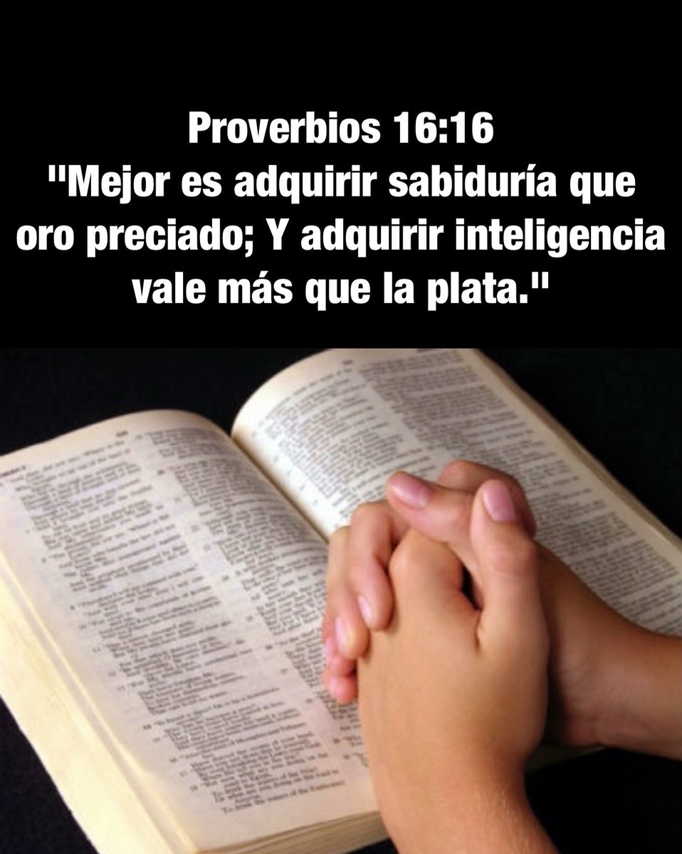 Proverbios 1:7
“El principio de la sabiduría es el temor de Jehová;
Los insensatos desprecian la sabiduría y la enseñanza.”