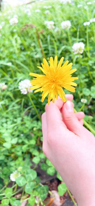 Twitterのコスプレ画像26