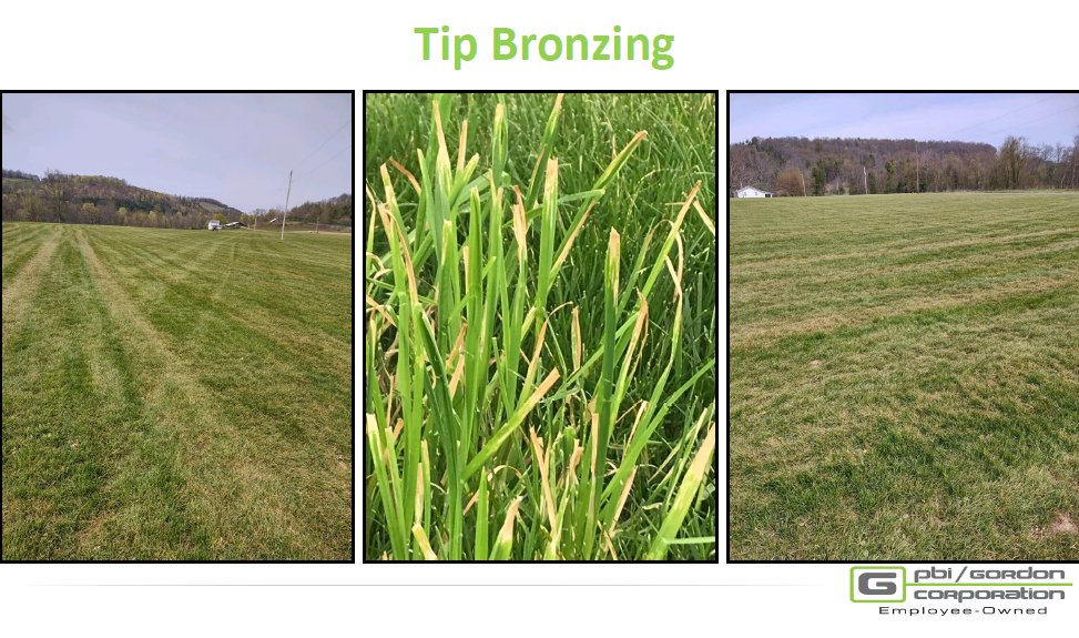 PBI-Gordon Turf Experts tweet media