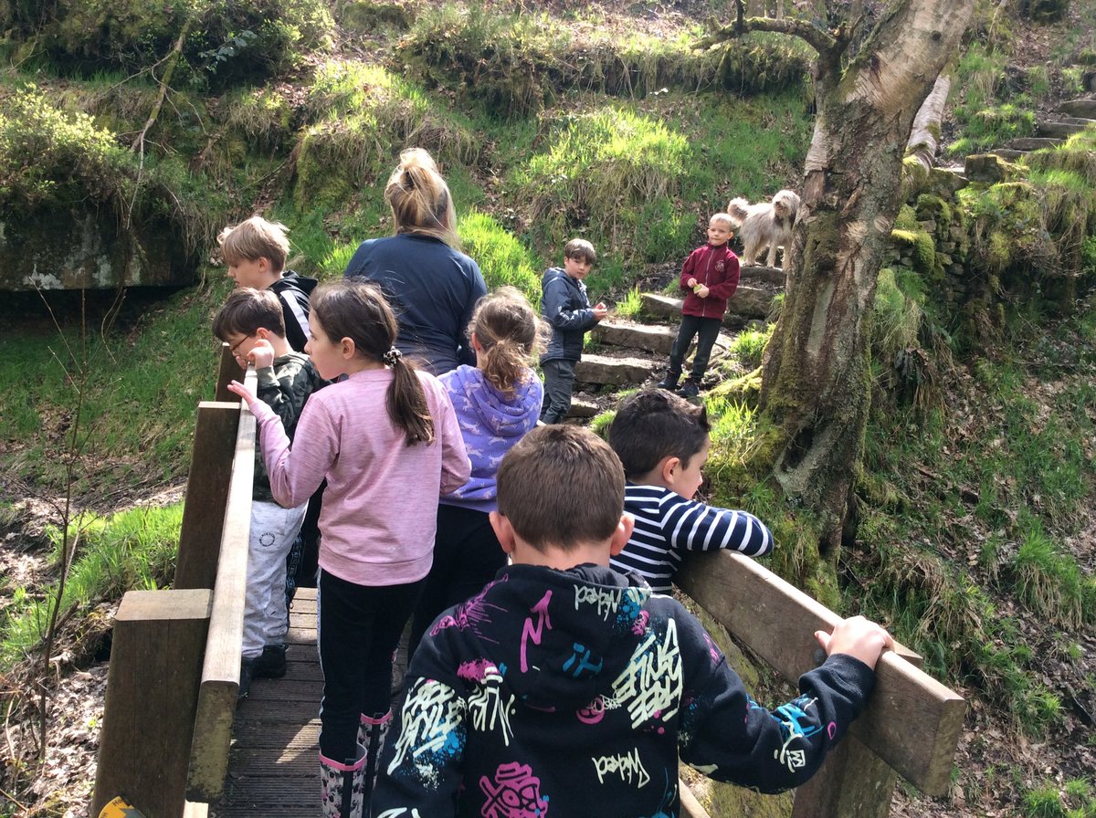MelthamMoor's tweet photo. What a wonderful day #MMY6 & #MMY2 have had visiting Holme farm during lambing.We’ve learnt all about the running of the farm during lambing, tasted lambs products, had a wonderful long walk exploring our local environment & a super fun paddle. #MoreatMM #MMscience #MMgeography https://t.co/f5AxKIsnCt