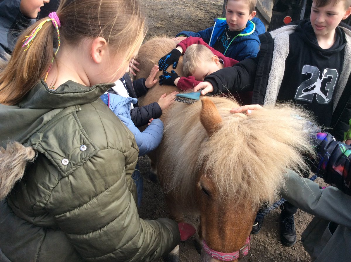 MelthamMoor's tweet photo. What a wonderful day #MMY6 & #MMY2 have had visiting Holme farm during lambing.We’ve learnt all about the running of the farm during lambing, tasted lambs products, had a wonderful long walk exploring our local environment & a super fun paddle. #MoreatMM #MMscience #MMgeography https://t.co/f5AxKIsnCt