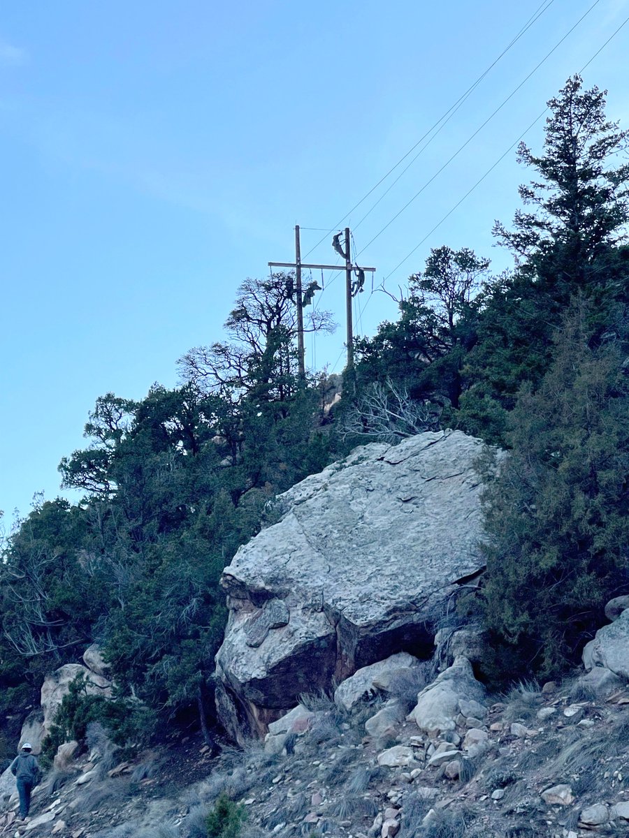 WeAreCVE's tweet photo. Today is National Lineman Appreciation Day! Let‘s remember &amp; thank the line workers who work hard 24/7. Featured here are CVE's line crews working on recent power line repair projects in Carbon County, UT and near Rawlins, WY. #thankalineworker #thankalineman #cachevalleyelectric https://t.co/dvA7GpNfUg