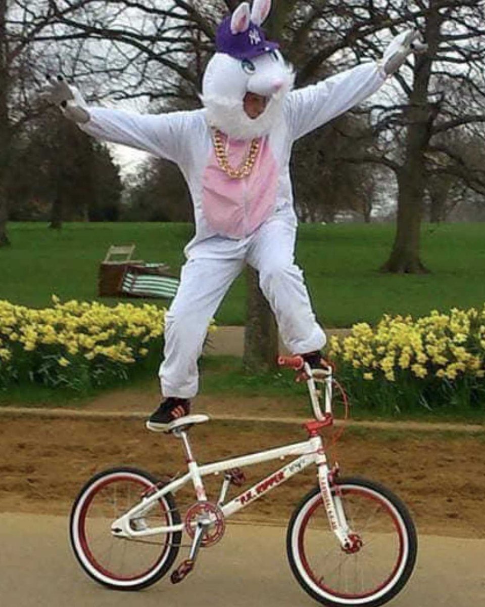 Silly rabbit, tricks are for kids!🐰#pkripper #sebikes #sebikeslife #bmx #bmxlife #bikelife