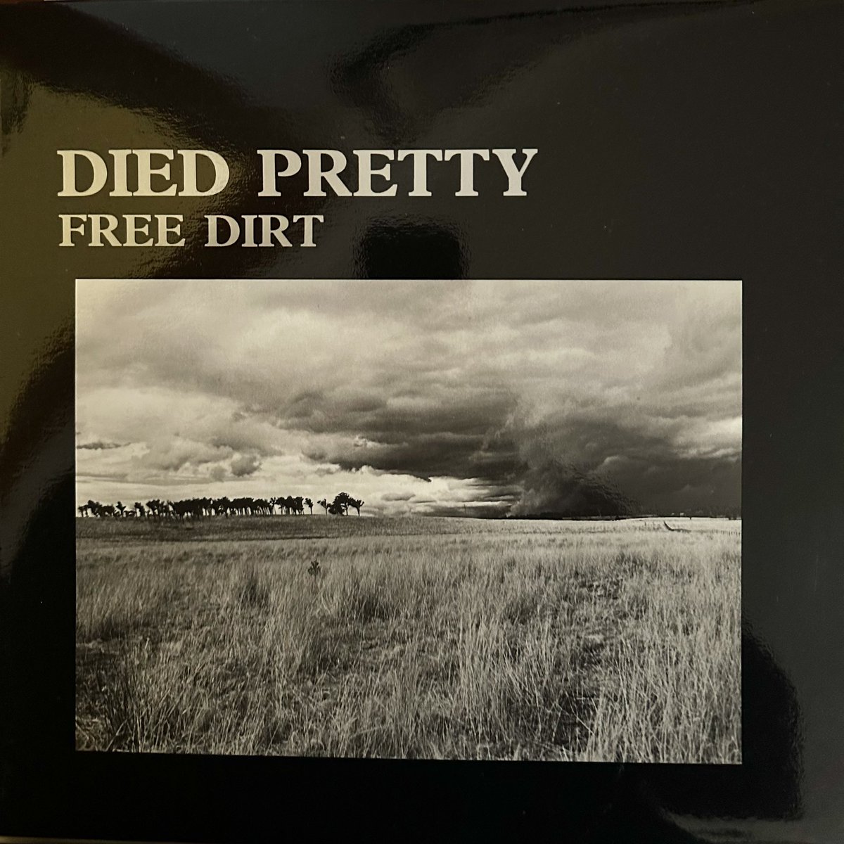 BernardZuel's tweet photo. RVG led back here. #morningpop #wednesdayvinyl #diedpretty #freedirt https://t.co/4i6AkG5Hqc