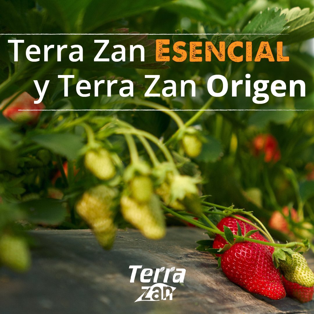 Terra_zan's tweet photo. Terra Zan Origen y Terra Zan Esencial marca un antes y un después en el uso de los abonos orgánicos👩‍🌾✅

Nuestros agrónomos expertos te van a enseñar cómo puedes sacarle el máximo provecho este Jueves 27 de Abril en nuestro webinar gratuito.👏🌾 https://t.co/Xqs5IbwyDL