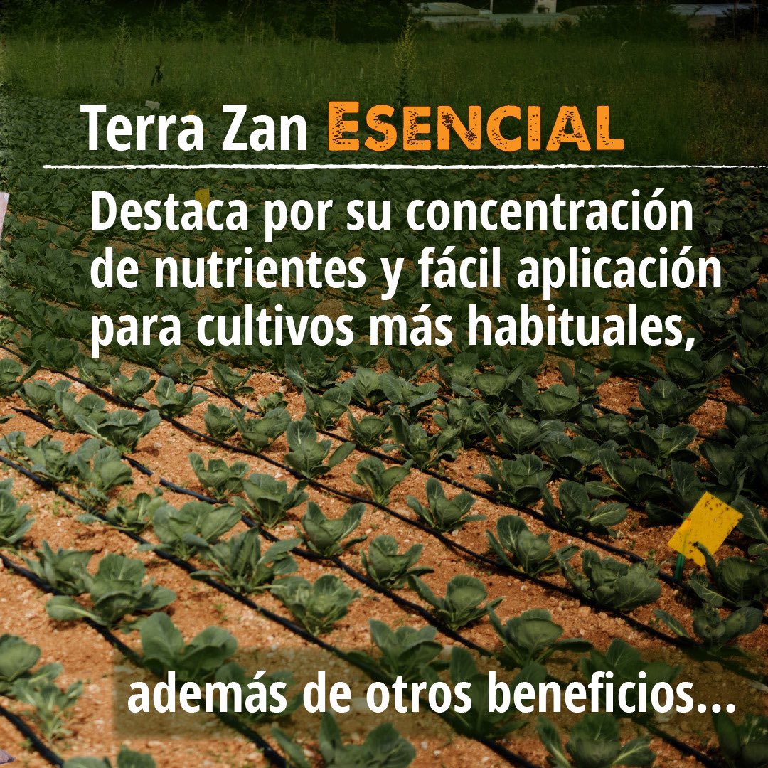 Terra_zan's tweet photo. Terra Zan Origen y Terra Zan Esencial marca un antes y un después en el uso de los abonos orgánicos👩‍🌾✅

Nuestros agrónomos expertos te van a enseñar cómo puedes sacarle el máximo provecho este Jueves 27 de Abril en nuestro webinar gratuito.👏🌾 https://t.co/Xqs5IbwyDL