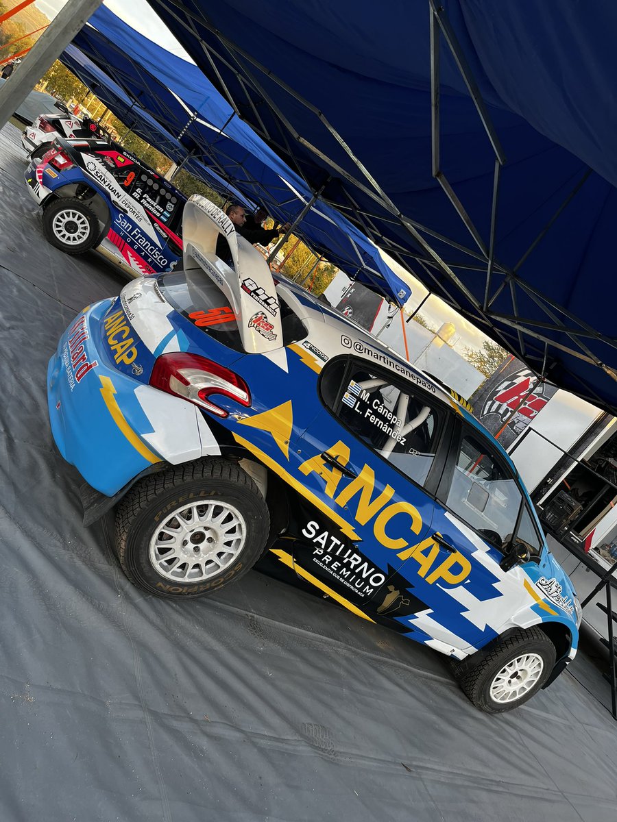 Rally Argentina tweet media