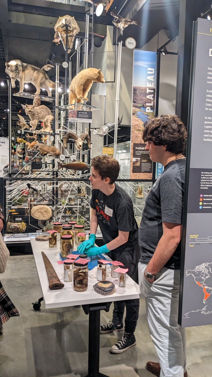 Their favorite job is giving tours and teaching visitors about all the different kinds of fish morphology in the collection.
