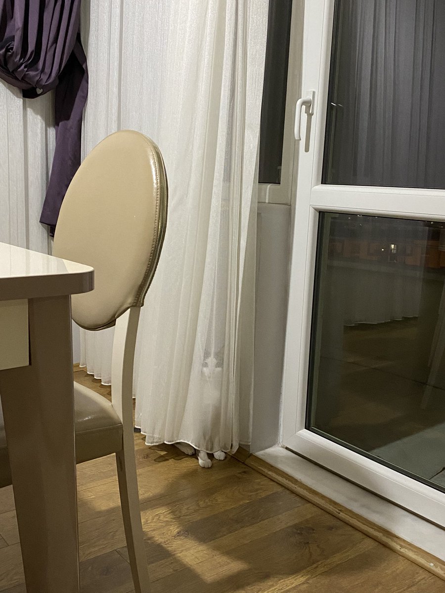 Palúrien (@shirotheimanity) on Twitter photo 