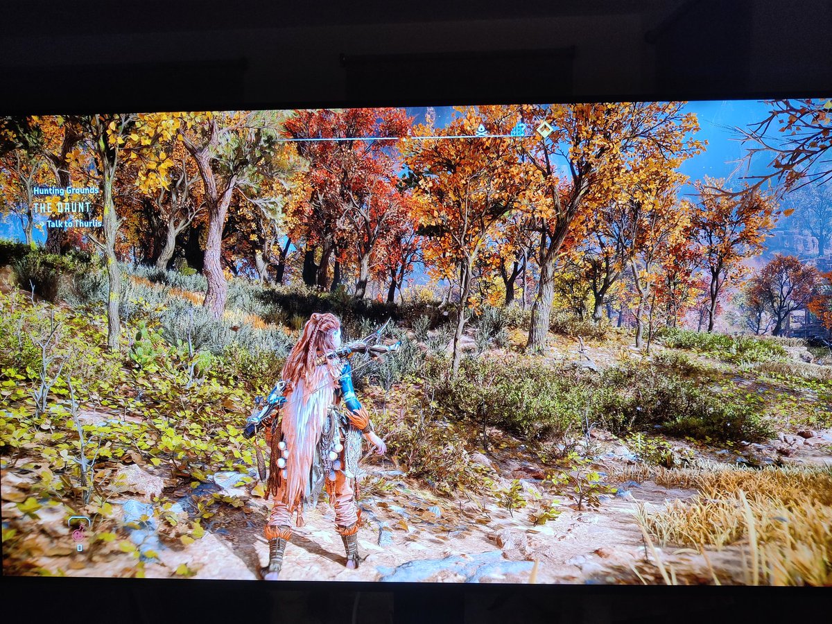 Pyo 5️⃣ tweet media