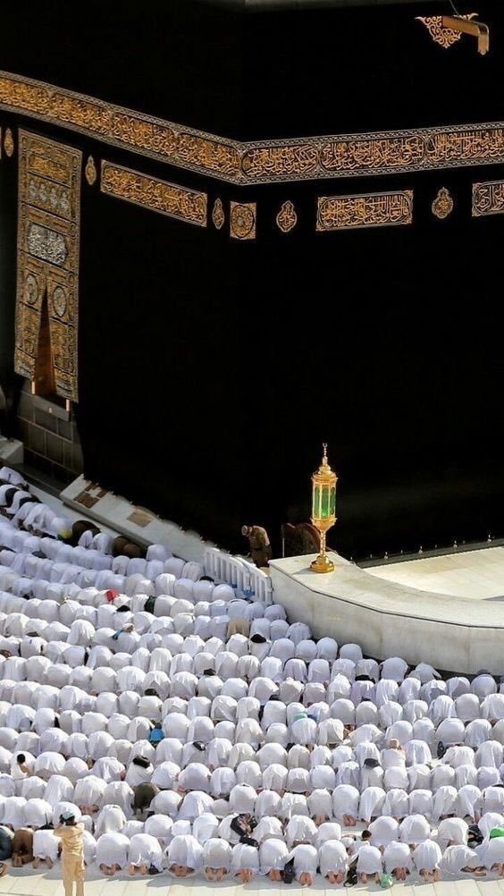 AMNIB_1's tweet photo. 💖💖💖💖💖💖💖
بِسْمِ اللَّهِ الرَّحْمَٰنِ الرَّحِيمِ  
السّلَامُ َعَلَيٗكُمُُ والرَحٗمَةُ اللّہ
  💖💖وَبَرَكَاتُهُ💖💖
دعاوں میں یاد رکھیں🙏 https://t.co/iLWkhOeCNh