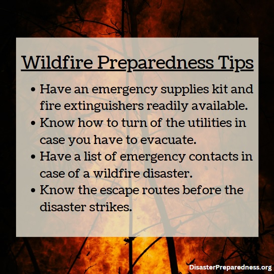 DisasterSite's tweet photo. Most people are surprised by how quickly wildfire can spread, especially in high winds and dry conditions. Is your family ready for a wildfire? https://t.co/DabektC5cM #wildfires #disasterpreparedness #disastertips https://t.co/tyU32xXrlw
