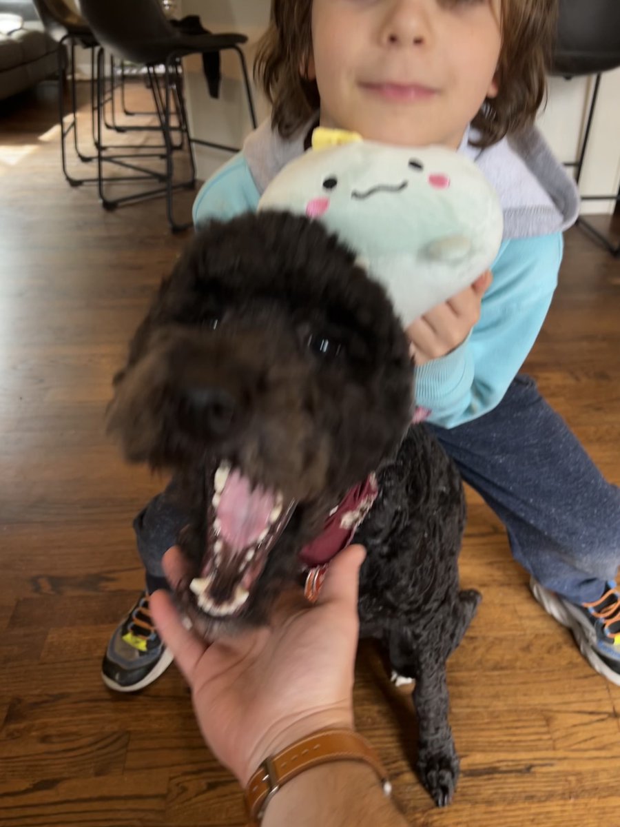 "Am I being flirted with by a psychotic rat?" youtube.com/watch?v=Mp1_Pu…