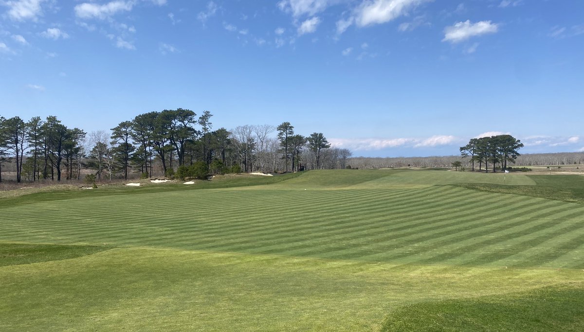 Alec Nisbet tweet media