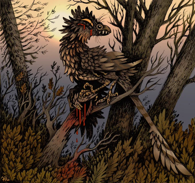 bird  