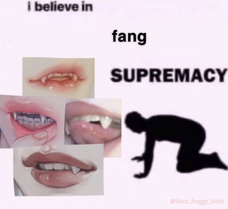 ShitpostGateway tweet media