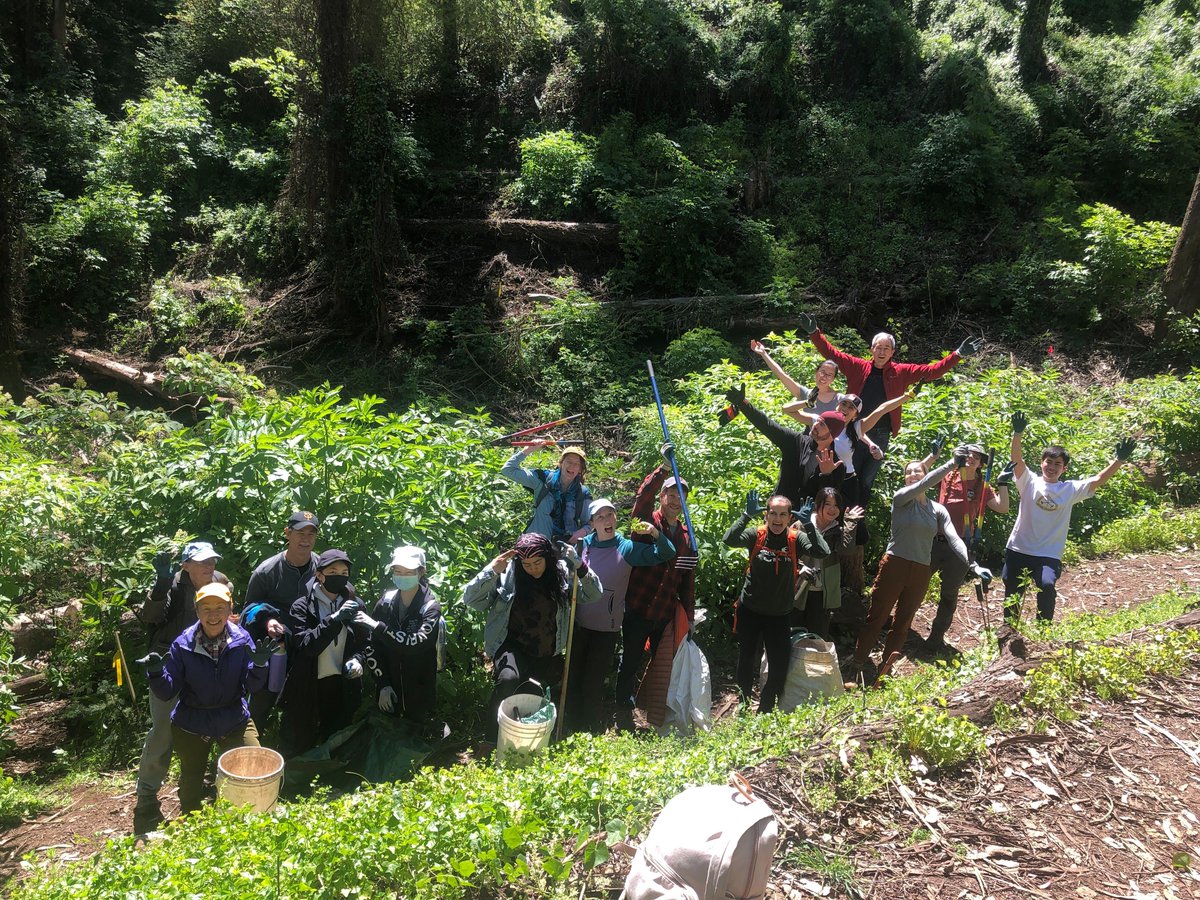 Sutro Stewards tweet media