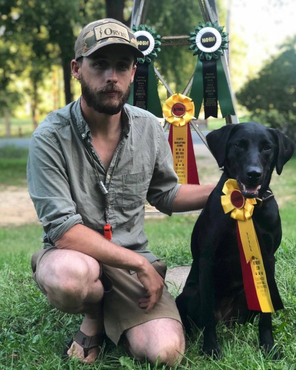 Labradors are the true kings of bird dog versatility.

“Some upland hunters love to throw shade at Labs. Believe me, I get it.....But, Any decent Lab would run head-first through a brick wall if there was a dead pheasant on the other side, and I like that. Their athletic tenacity