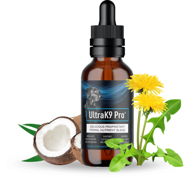 myshopngstation's tweet photo. UltraK9 Pro Reviews - The Essential Pet Supplement for a Happy Healthy Dog
#ultrak9pro #pethealth #doghealth #health #dogsupplement
https://t.co/tEzmRvUDIv https://t.co/BILUOIKofo
