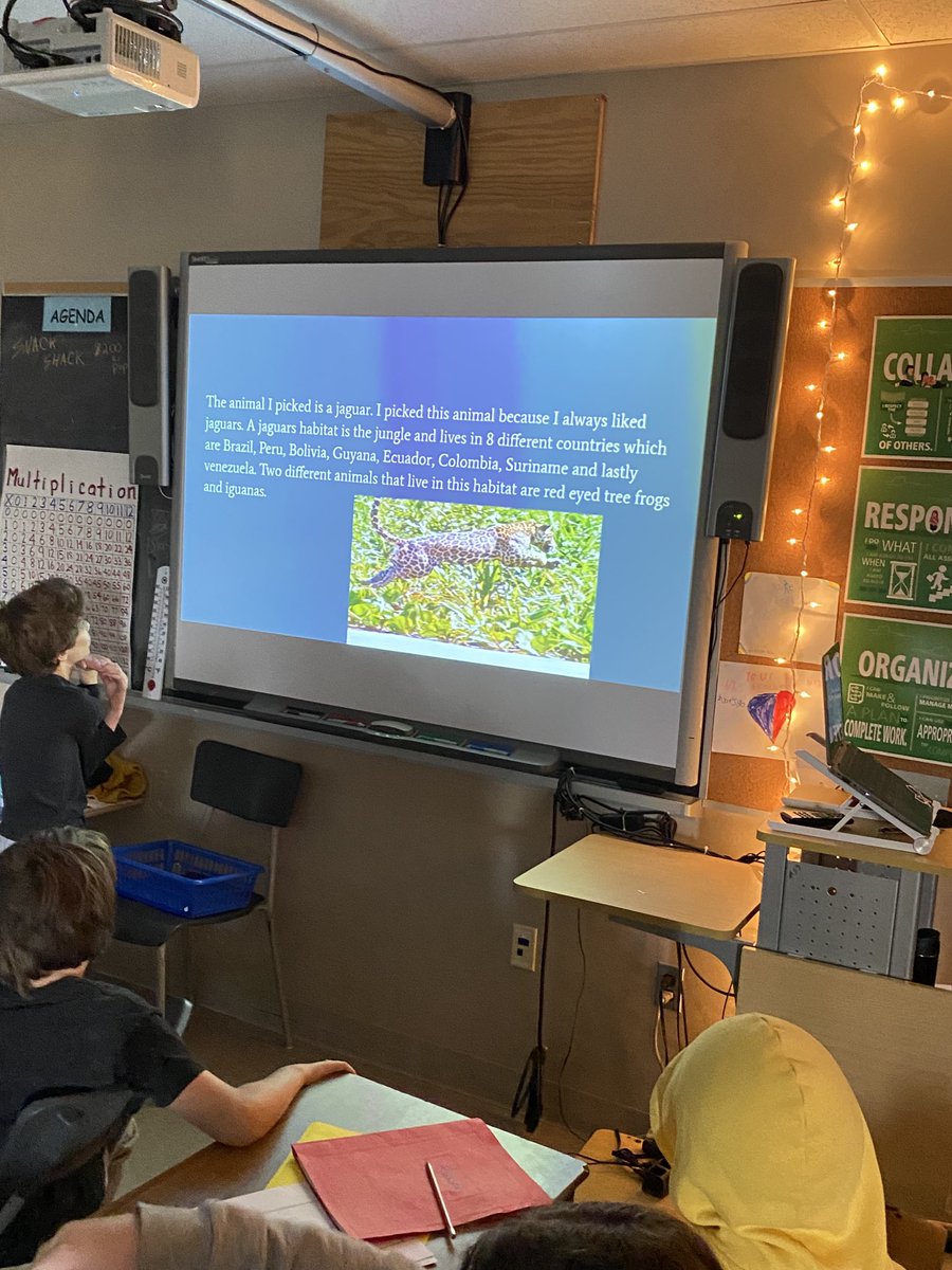 GRivett99's tweet photo. Beep Test in gym &amp; some Science presentations! What a “Terrific Tuesday”! Great work Jaguars! 🦉🐕🏅🏆⁦@EIMJaguars⁩ https://t.co/NgN5OYmpYW