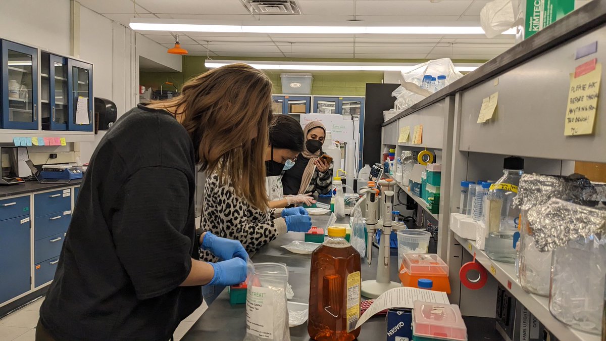 Khad_Lab's tweet photo. We had our first ever Lab Olympics event in the Khadempour Lab today! Everyone except for @KhadLily won at least one event, but a good time was had by all! @heyitsme19999 @charbarian Jordie and Thelmalyn! https://t.co/TkuoE36htu
