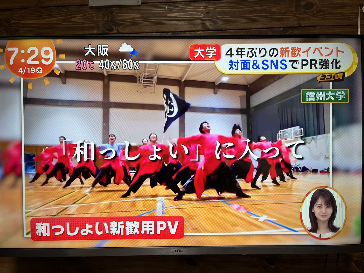 yk_askey's tweet photo. めざましテレビに、和っしょいが！！！
すごい、嬉しいーーー✨️ https://t.co/vja6fLYo7Y