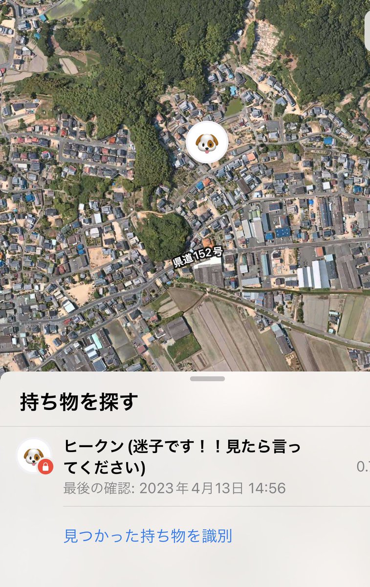 kksfklUfhkk's tweet photo. AirTag私は防水のシート、シリコンのケースをつけて名前、電話番号が一目でわかる首輪をつけています
使えています
迷子になる前にどうか考えてください
フレンドリーな子なら一発で見つかると思います
迷子防止に大事なパートナーに
マイクロチップより頼りになるはず
#迷子犬　#迷子防止　#AirTag https://t.co/I3zu1GciaA