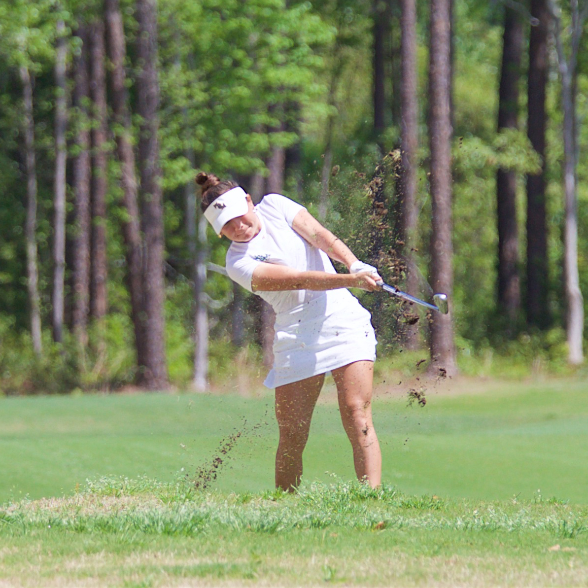 William & Mary Tribe Women's Golf tweet media
