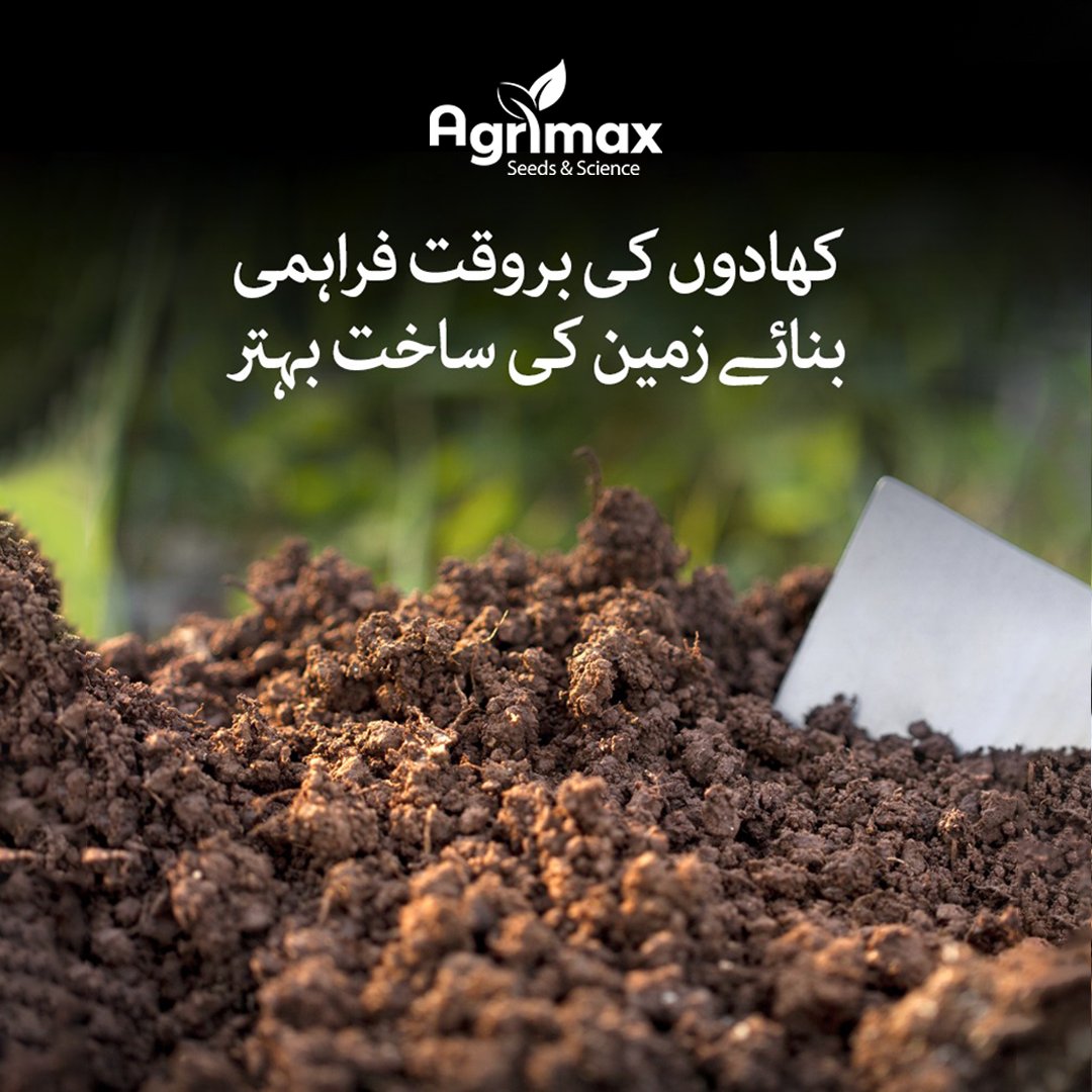 AngroSeed's tweet photo. کھادوں کی بروقت فراہمی بنائے زمین کی ساخت بہتر

#angroseed #angroseedcompany #Agrimax #fertilizer #agriculture #organic #organicfertilizer #soil #farming #gardening #garden #plants https://t.co/nRrzHCZo1x
