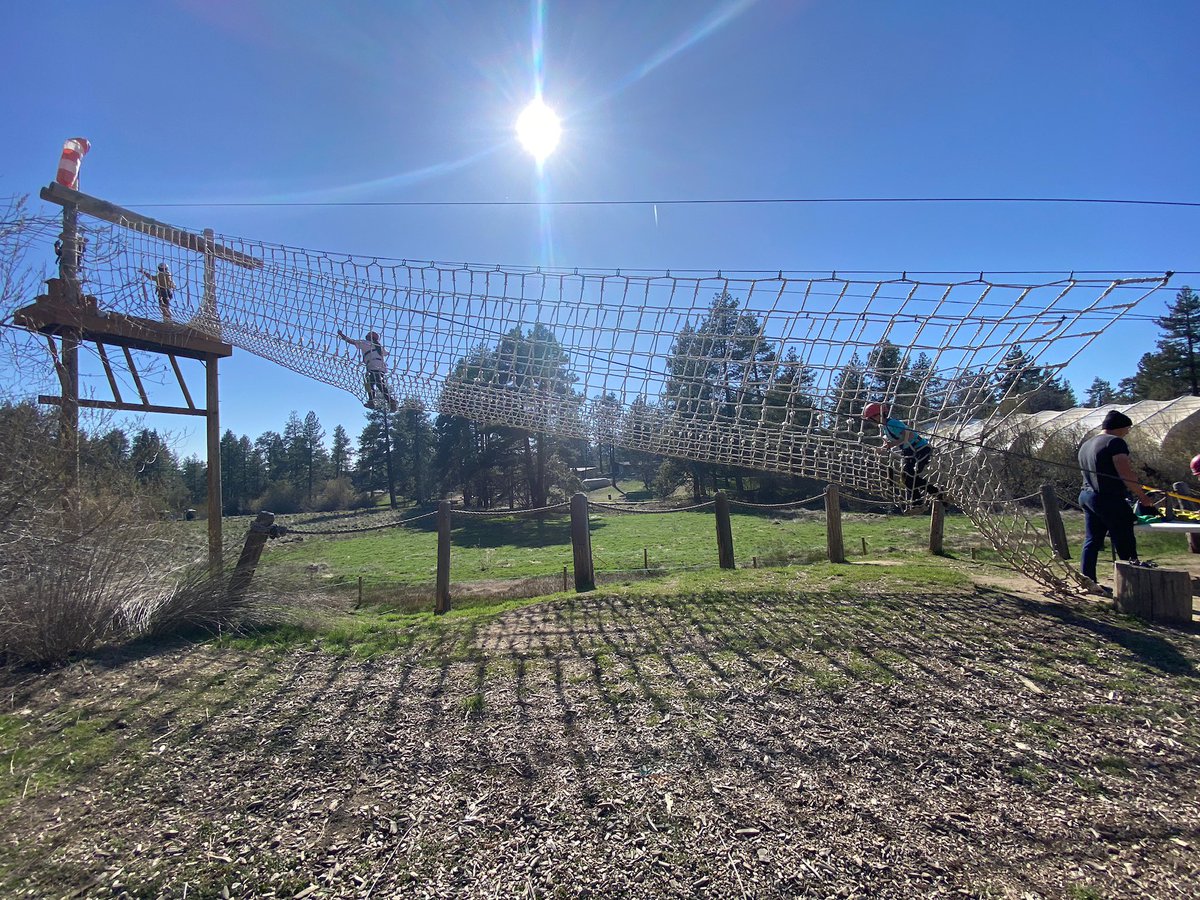 Davis Magnet School tweet media