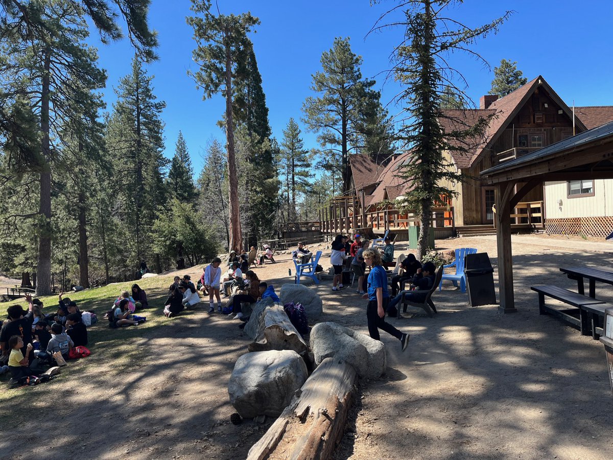 Davis Magnet School tweet media