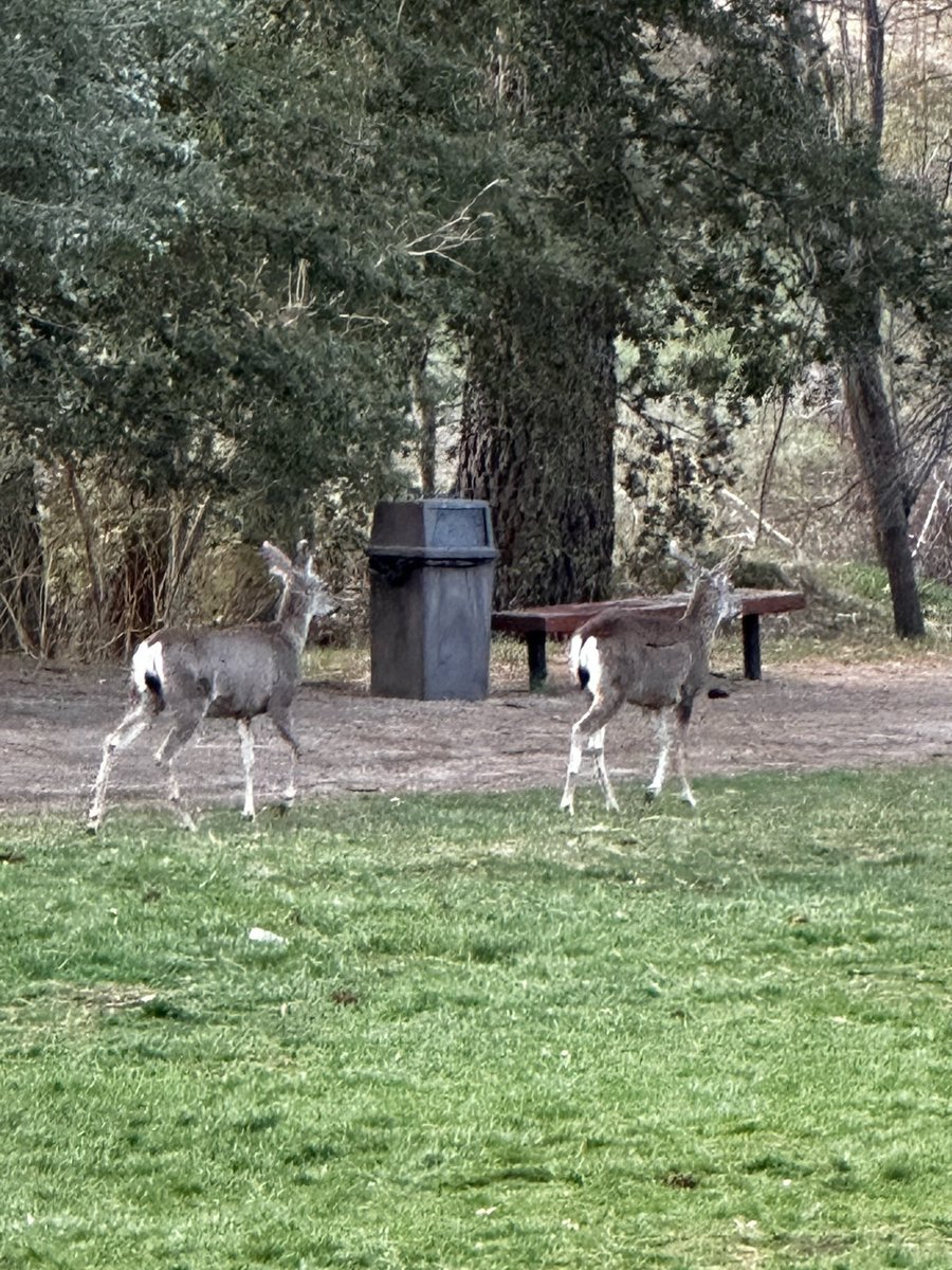 Davis Magnet School tweet media