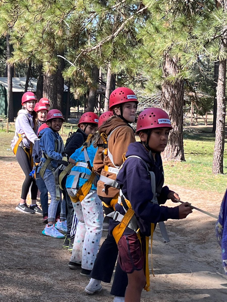 Davis Magnet School tweet media