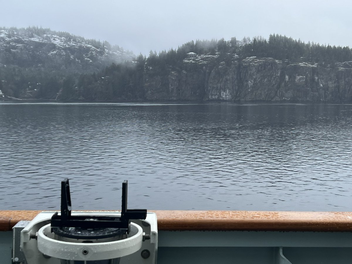 Nadia Shields tweet media