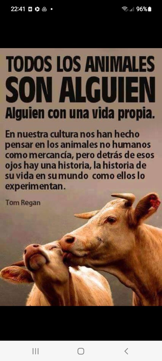 Veromaggi's tweet photo. animales no humanos han visto la posibilidad real de cambiar sus vidas a mejor.
#PodemosTransformar
y lo están haciendo. https://t.co/ucF11Uahmp